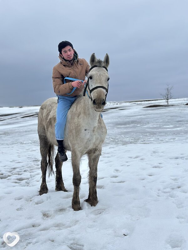 Дилёр, 26, Белгороде — анкета №3841326