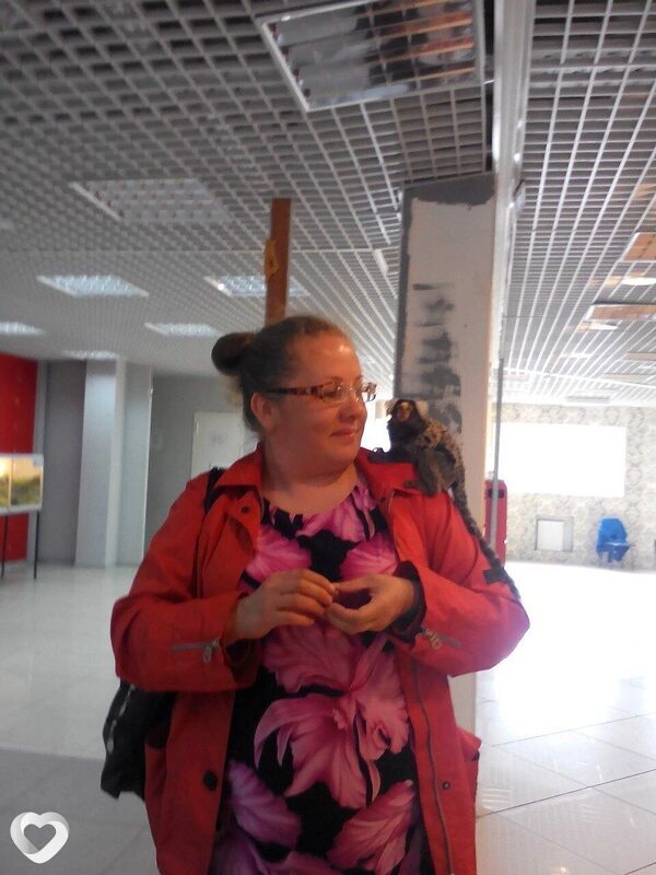 Юлия, 43, Петрозаводске — анкета №3843029