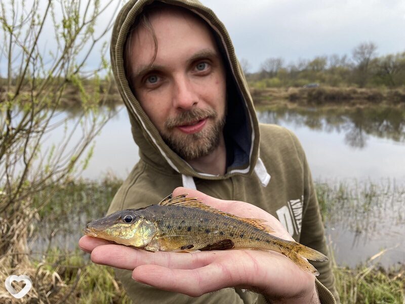 Денис, 33, Жлобине — анкета №3845596