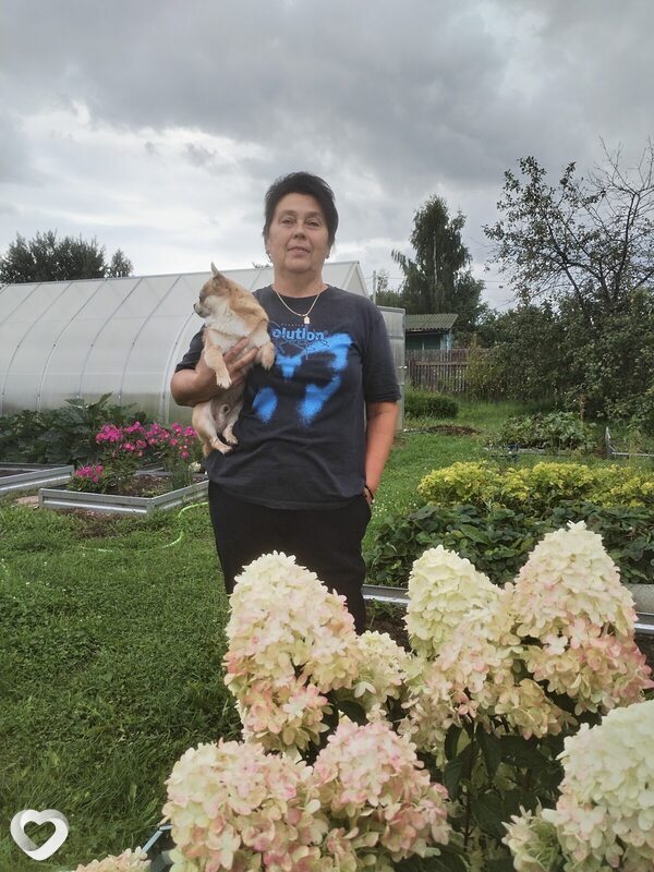 Татьяна, 58, Ярославле — анкета №3846633