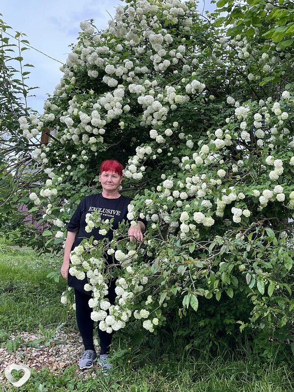 Лариса, 60, Майкопе — анкета №3852370