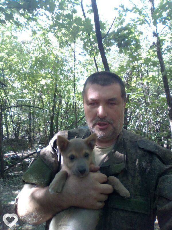 Дмитрий, 49, Белореченске — анкета №3864288