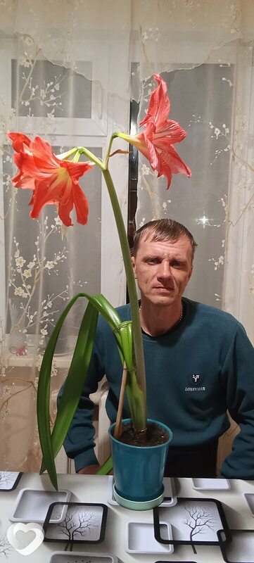 Алекс, 46, Кунгуре — анкета №3866858