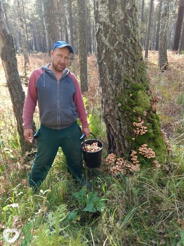 Александр, Черепаново