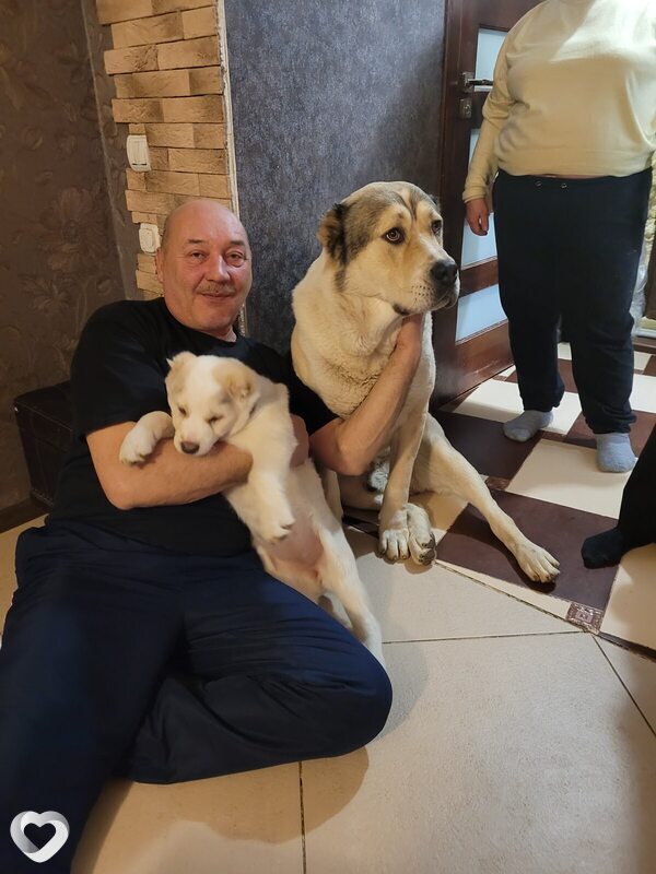 Юрий, 59, Минске — анкета №3878222