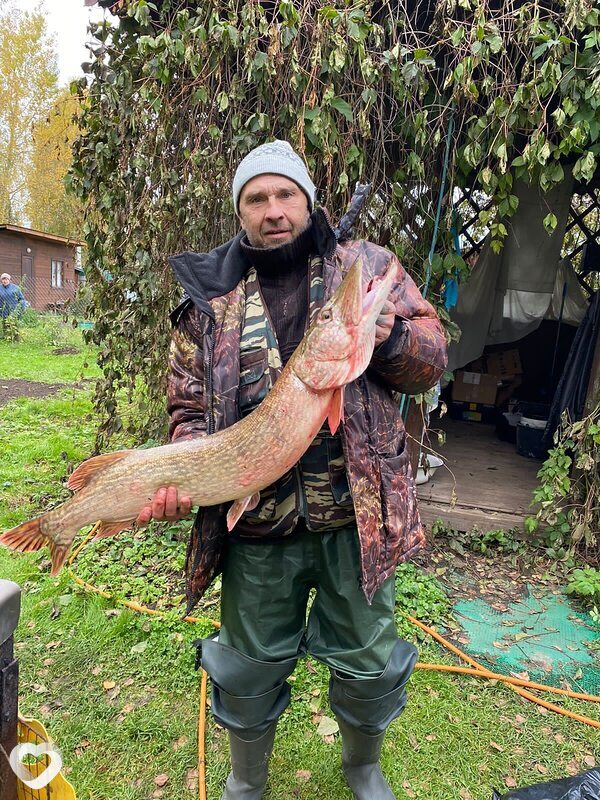 Михаил, 55, Солнечногорске — анкета №3883561