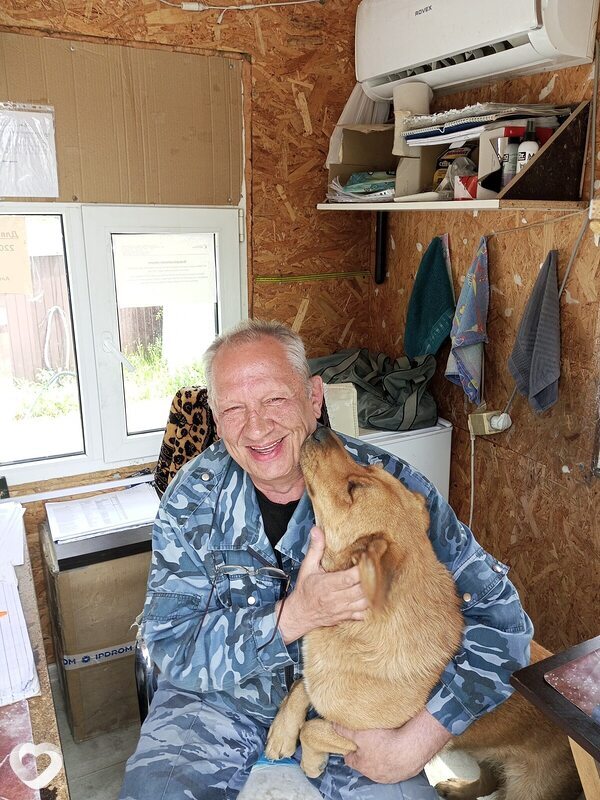 Сергей, 61, Краснодаре — анкета №3884776