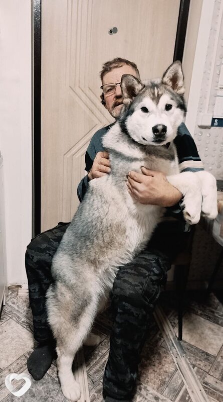 Юрий, 67, Тамбове — анкета №3885249