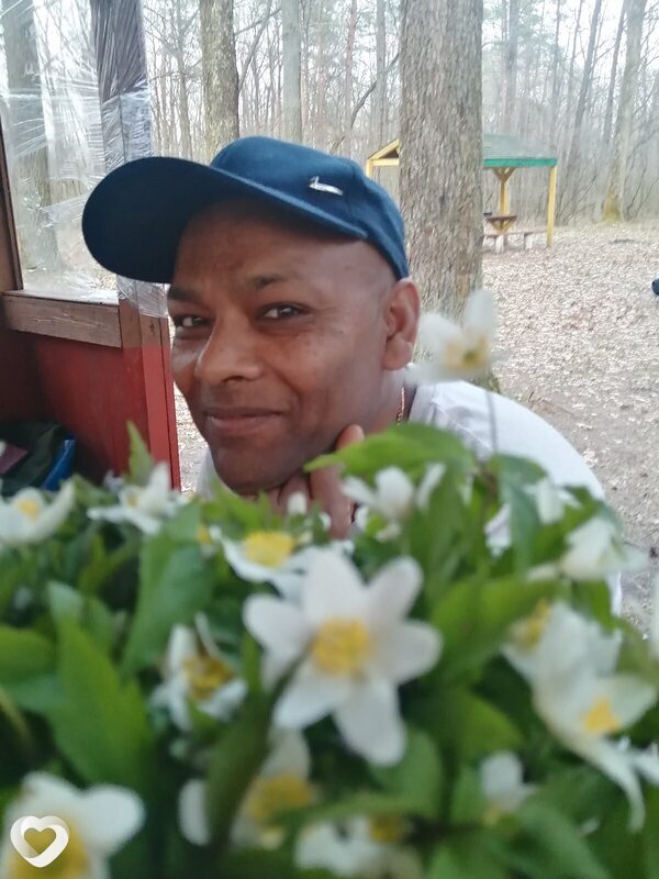 Ahmed, Киверцы