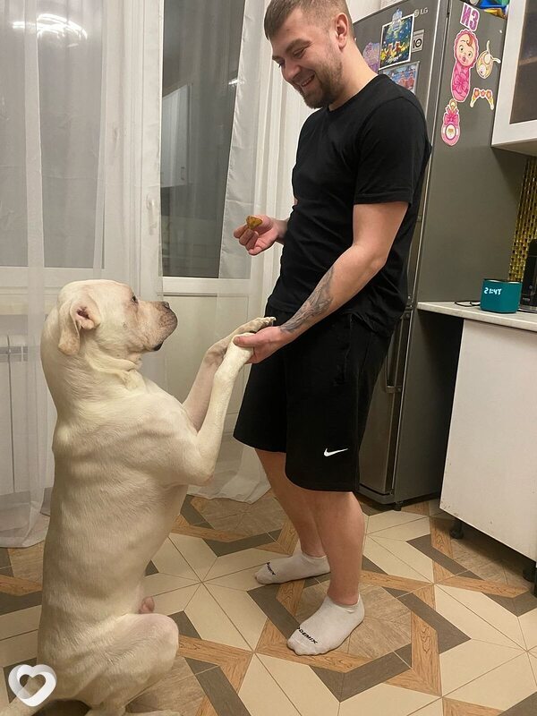 Дима, 29, Голицыне — анкета №3887977