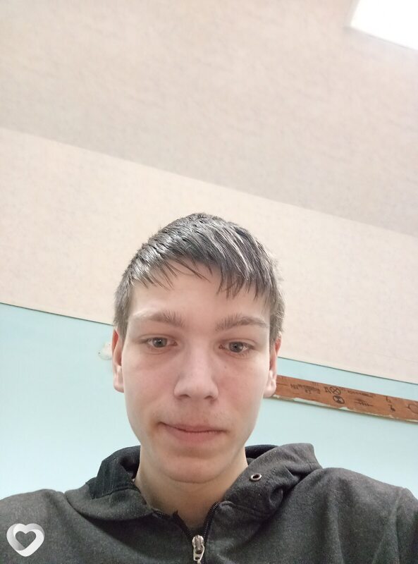 Дима, Столбцы