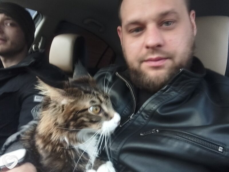 Александр, 33, Омске — анкета №3895566