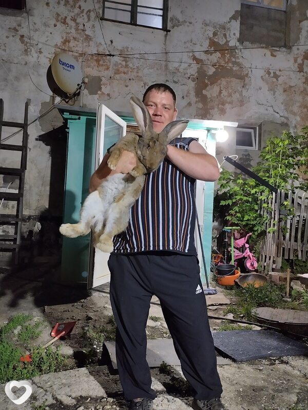 Евгений, Риддер