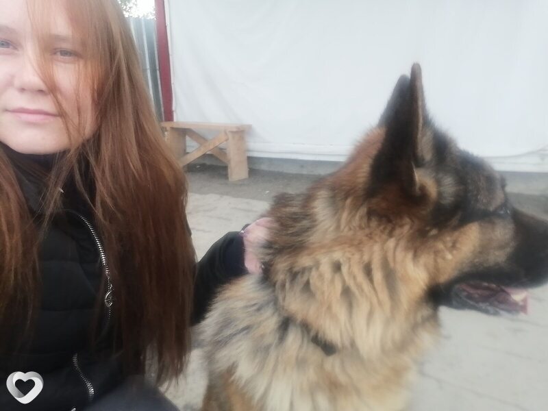 Алена, 29, Кемерове — анкета №3922539