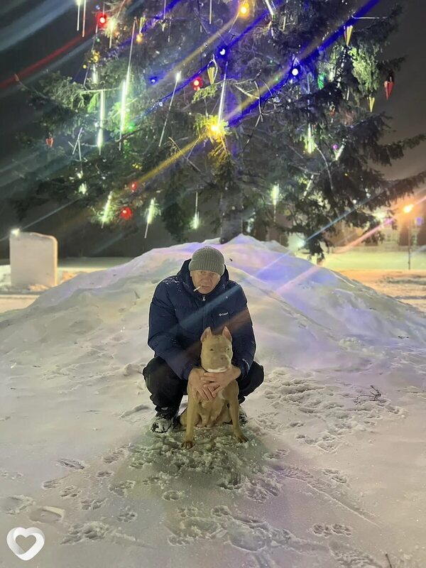 Евгений, Лебедянь
