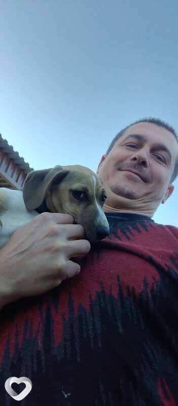 Дмитрий, 40, Пятигорске — анкета №3925228