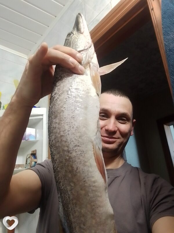 Микола, 43, Мегионе — анкета №3931155