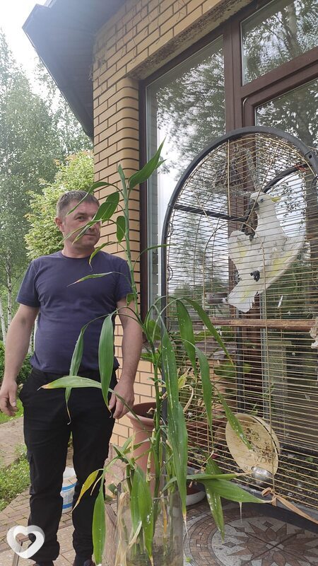 Василий, 45, Москве — анкета №3934634