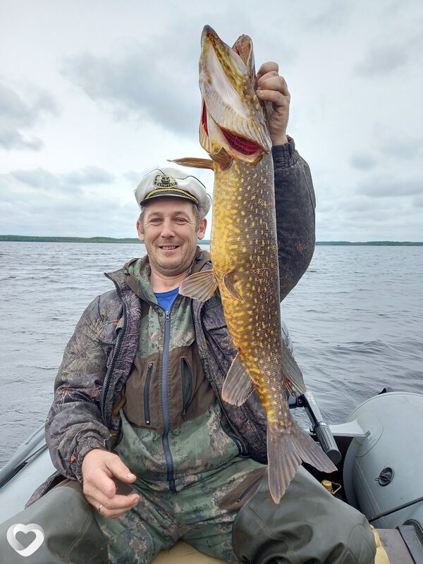 Алексей, 48, Сегеже — анкета №3936412
