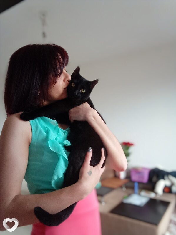 Алина, 33, Великом Новгороде — анкета №3950040