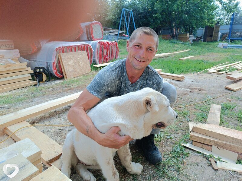 Александр, 54, Нижнем Новгороде — анкета №3950645