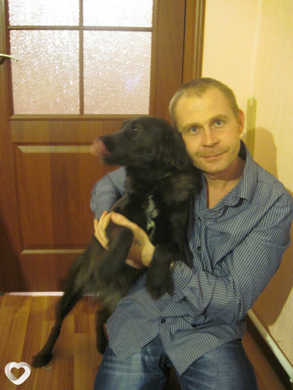 Сергей, 48, Ростове-на-Дону — анкета №3951618