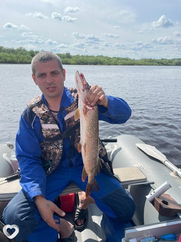 Олег, Каргополь