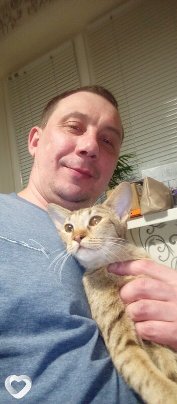 Aubrey, 43, Вологде — анкета №3963587