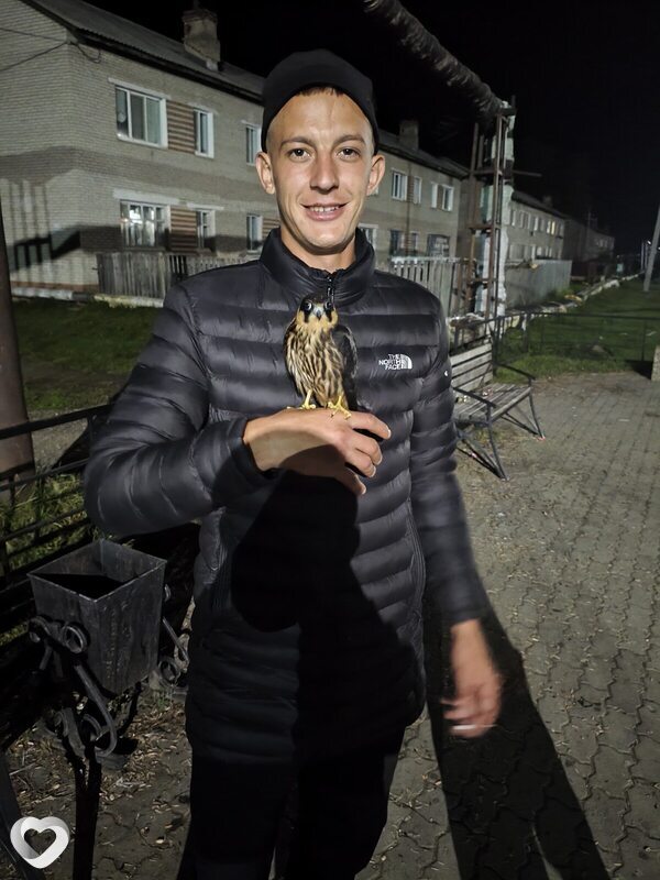 Кирилл, 25, Благовещенске — анкета №3971337