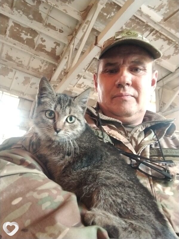 Денис, 46, Острогожске — анкета №3971944