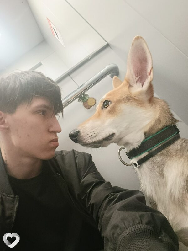 Лис, 20, Екатеринбурге — анкета №3978787