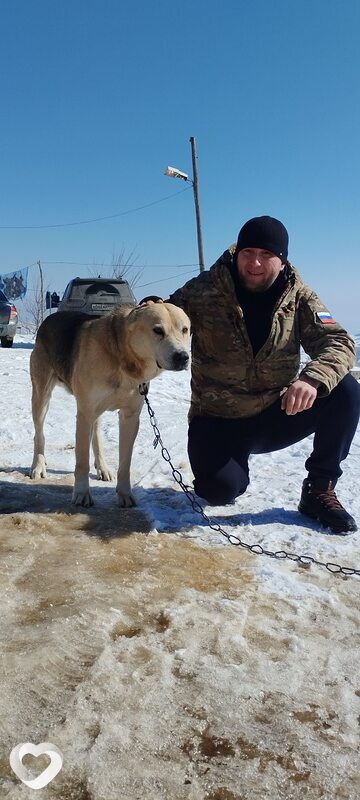 Иван, 42, Ровеньках — анкета №3983176