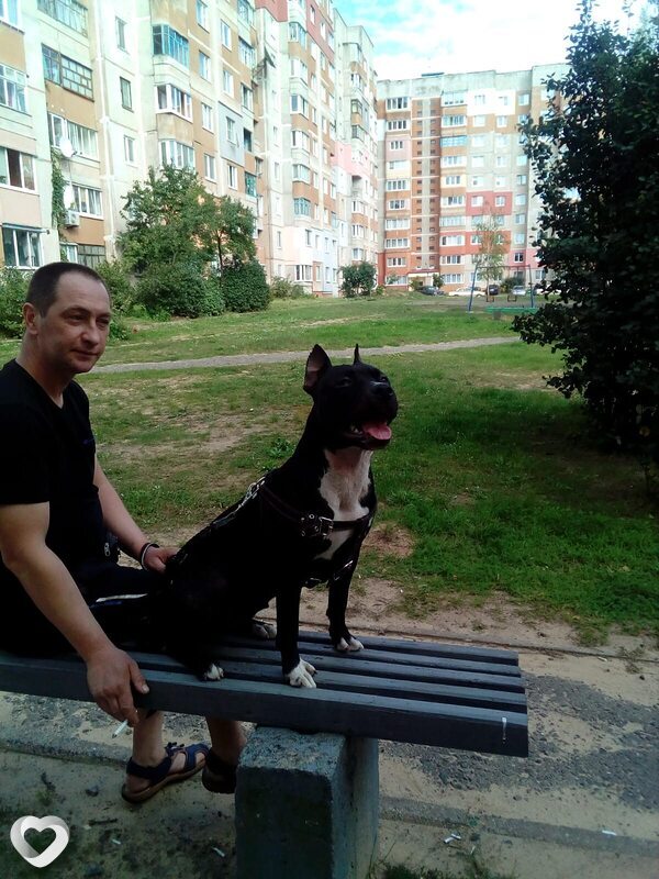 Сергей, 46, Борисове — анкета №3982988