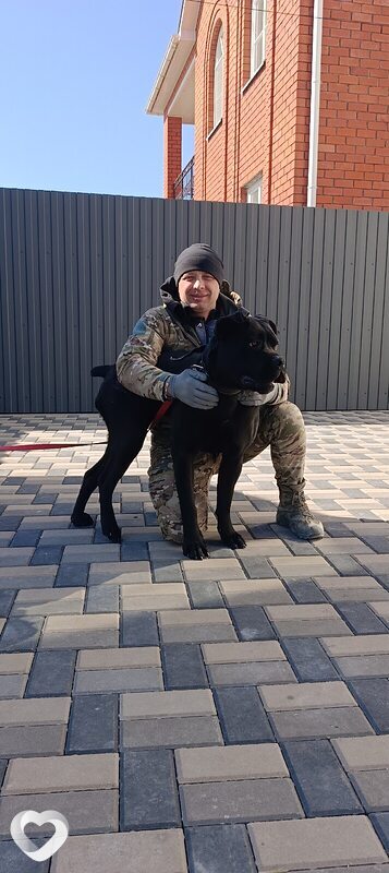 Miha, 40, Белгороде — анкета №3986558