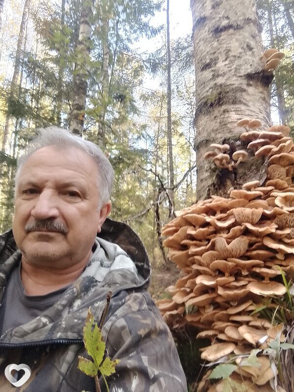 Владимир, Химки