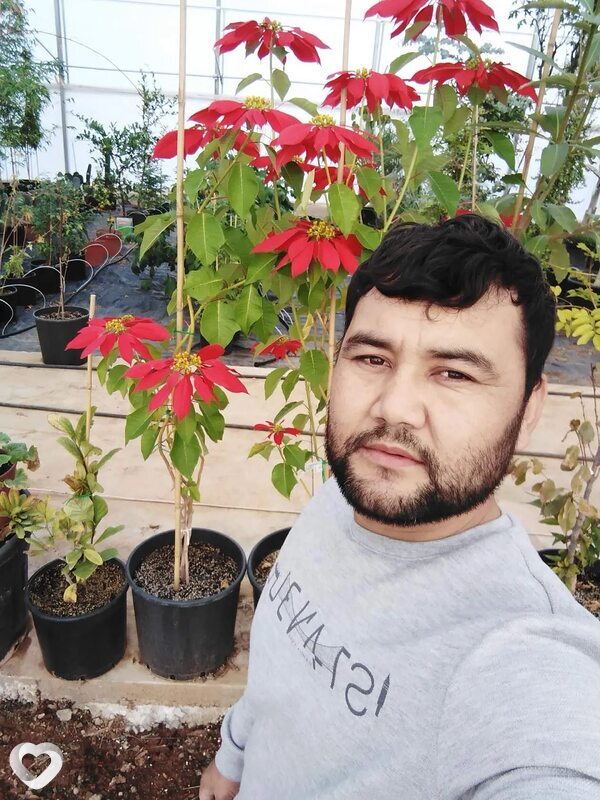Тимур, 27, Алматы — анкета №3988728