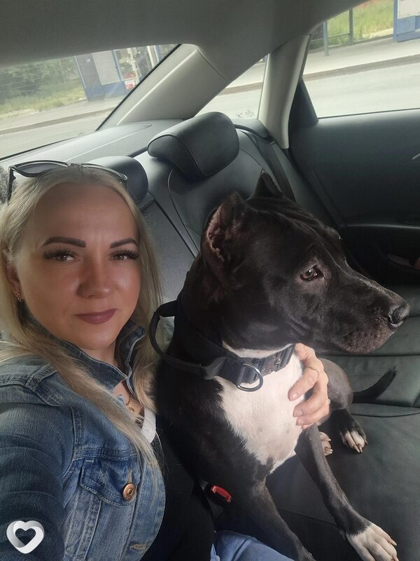Екатерина, 38, Петрозаводске — анкета №3989484