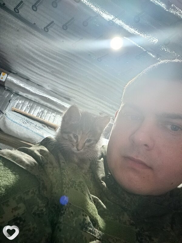 Богдан, 34, Перми — анкета №3991583