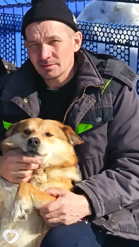 Виктор, Шемурша