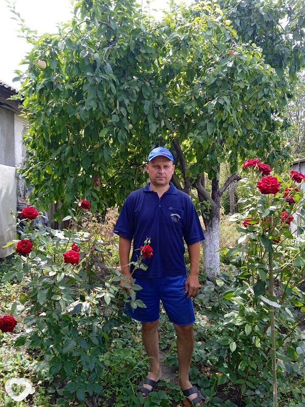 Радион, Бельцы