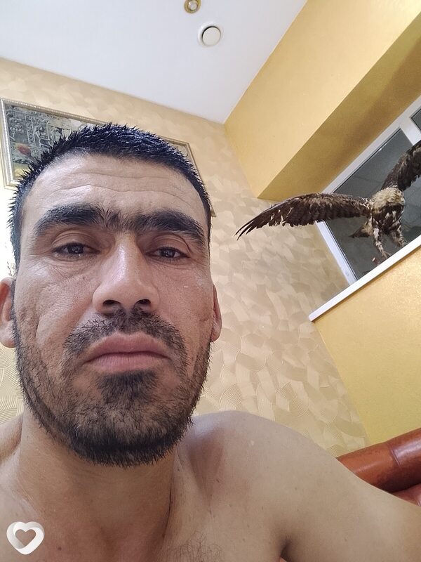 Боря, 38, Ульяновске — анкета №3998189