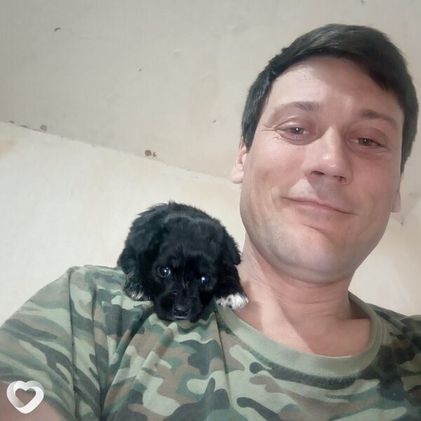 Виктор, Грачевка