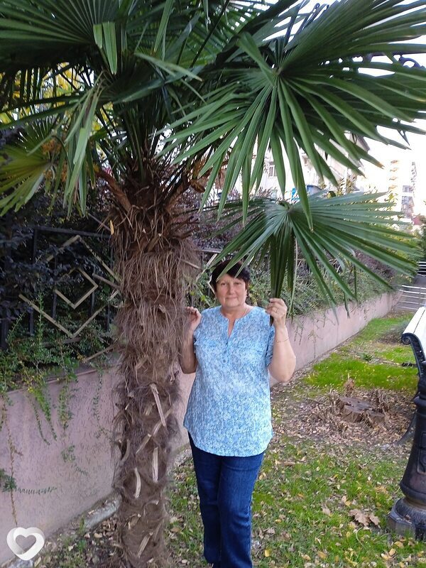 Светлана, 65, Ульяновске — анкета №4004428