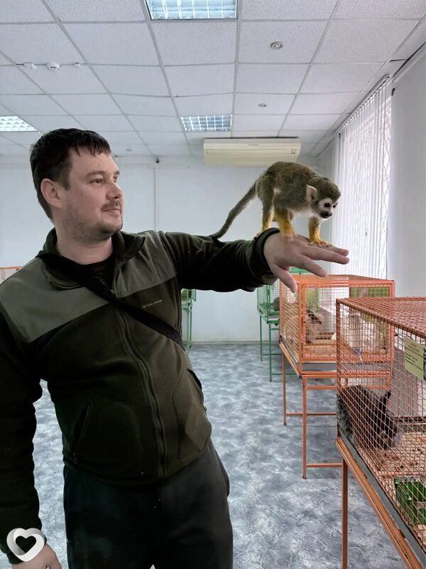 Сергей, 34, Санкт-Петербурге — анкета №4007685