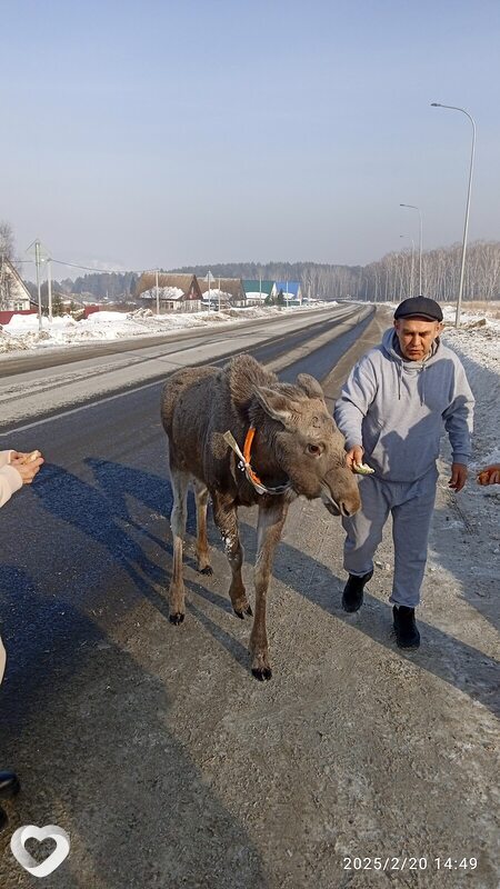 Вадим, 58, Томске — анкета №4008448