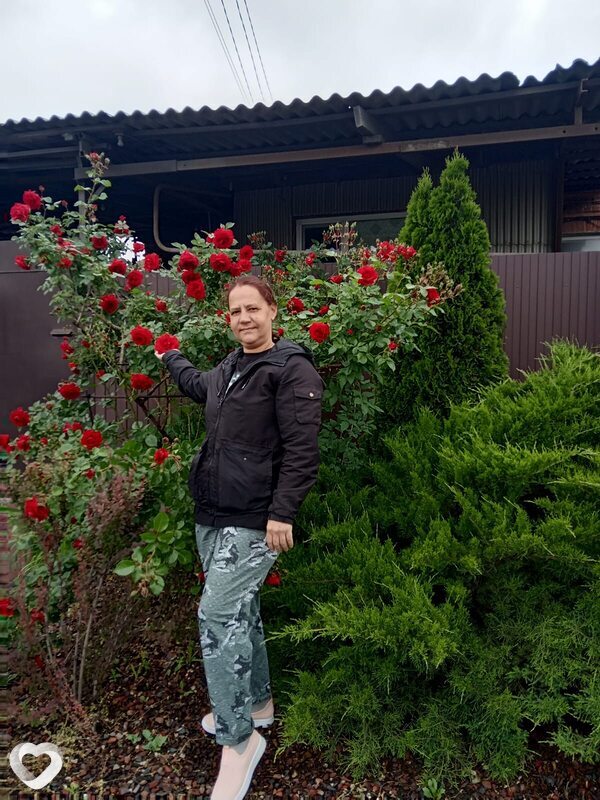 Светлана, 46, Ростове-на-Дону — анкета №4020491