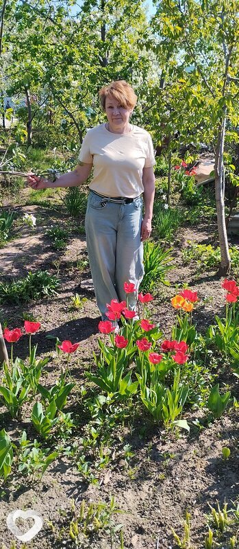 Наталья, 59, Санкт-Петербурге — анкета №4024803