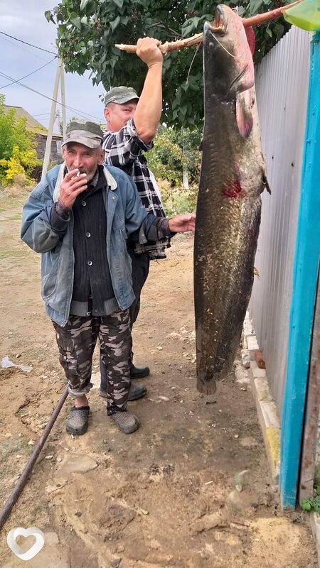 Иван, Яранск