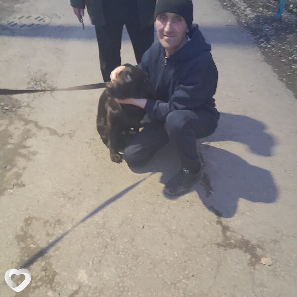 Николай, 48, Петропавловске — анкета №4029676