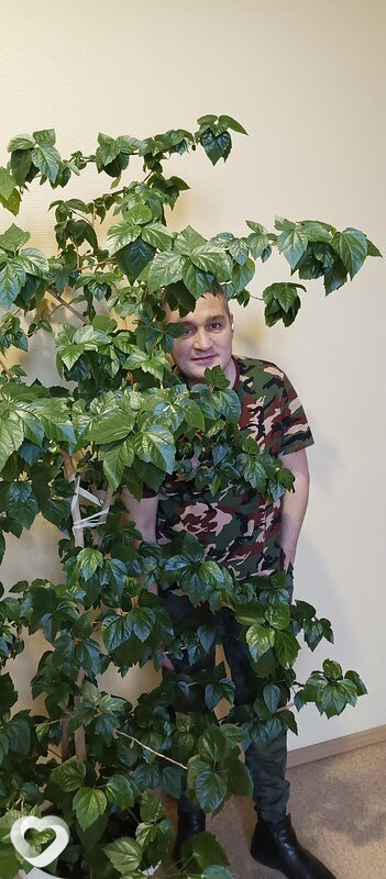 Лекс, Воркута